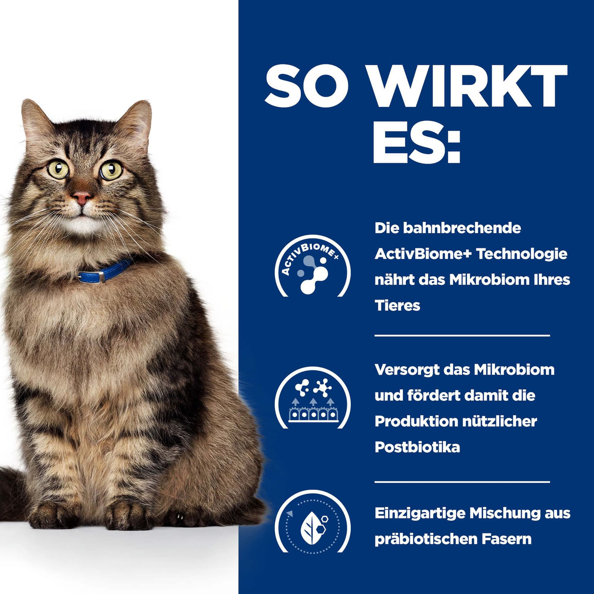 Katze Prescription Diet Gastrointestinal Biome Ragout mit Huhn & Gemüse