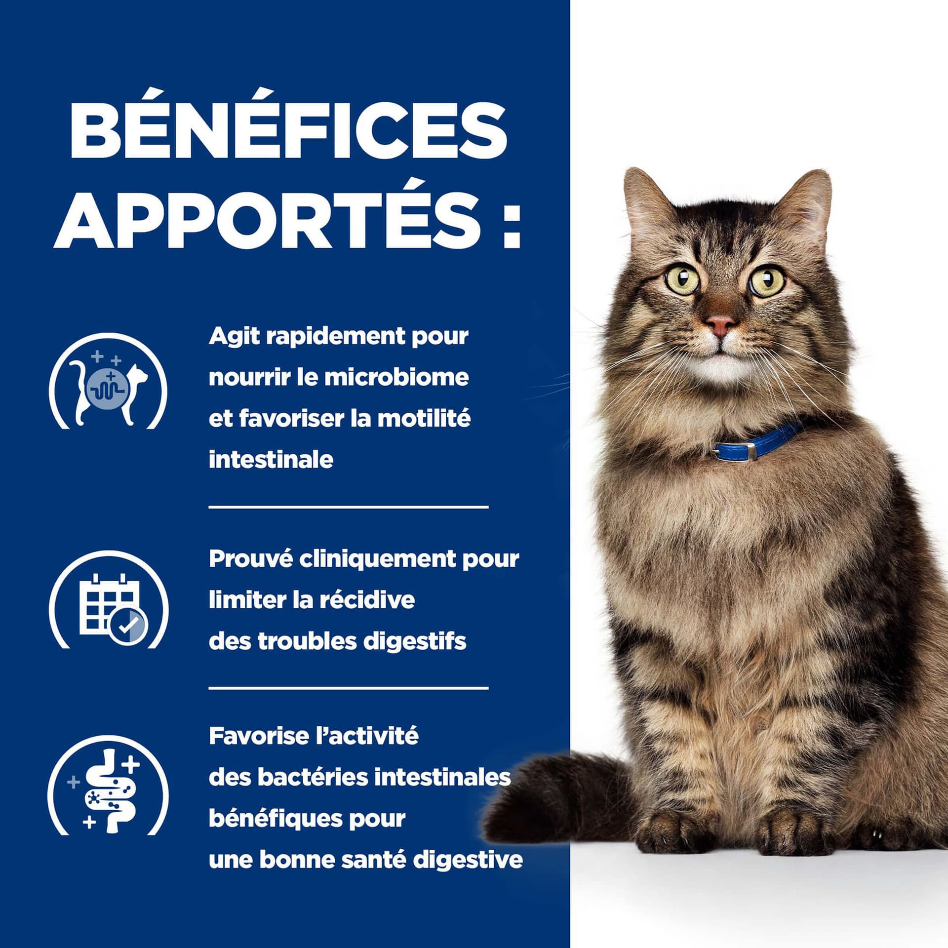 Katze Prescription Diet Gastrointestinal Biome Ragout mit Huhn & Gemüse
