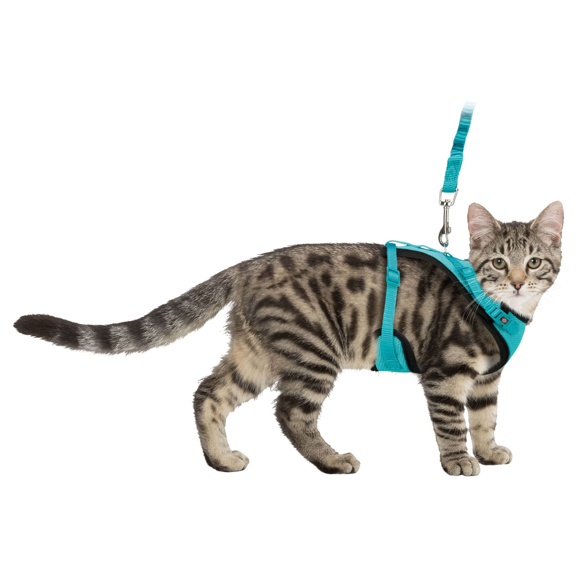 Mesh Y Katzengeschirr und Katzenleine
