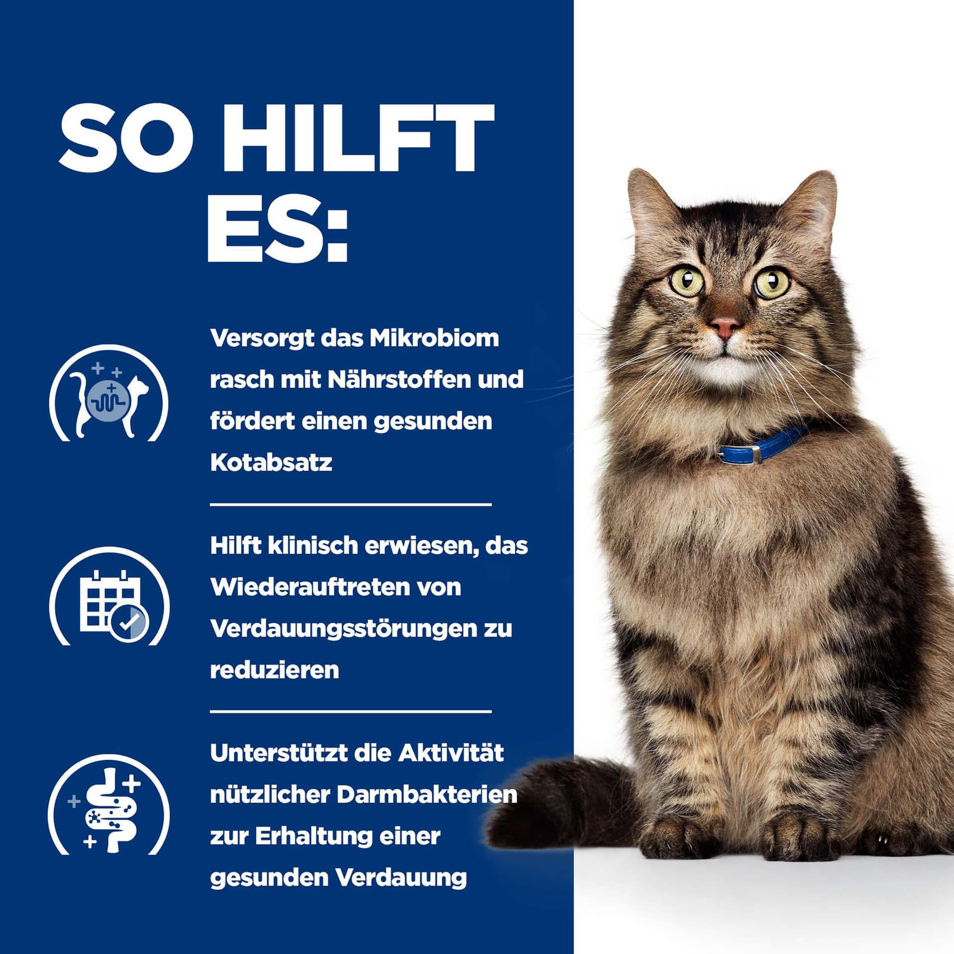 Katze Prescription Diet Gastrointestinal Biome Ragout mit Huhn & Gemüse