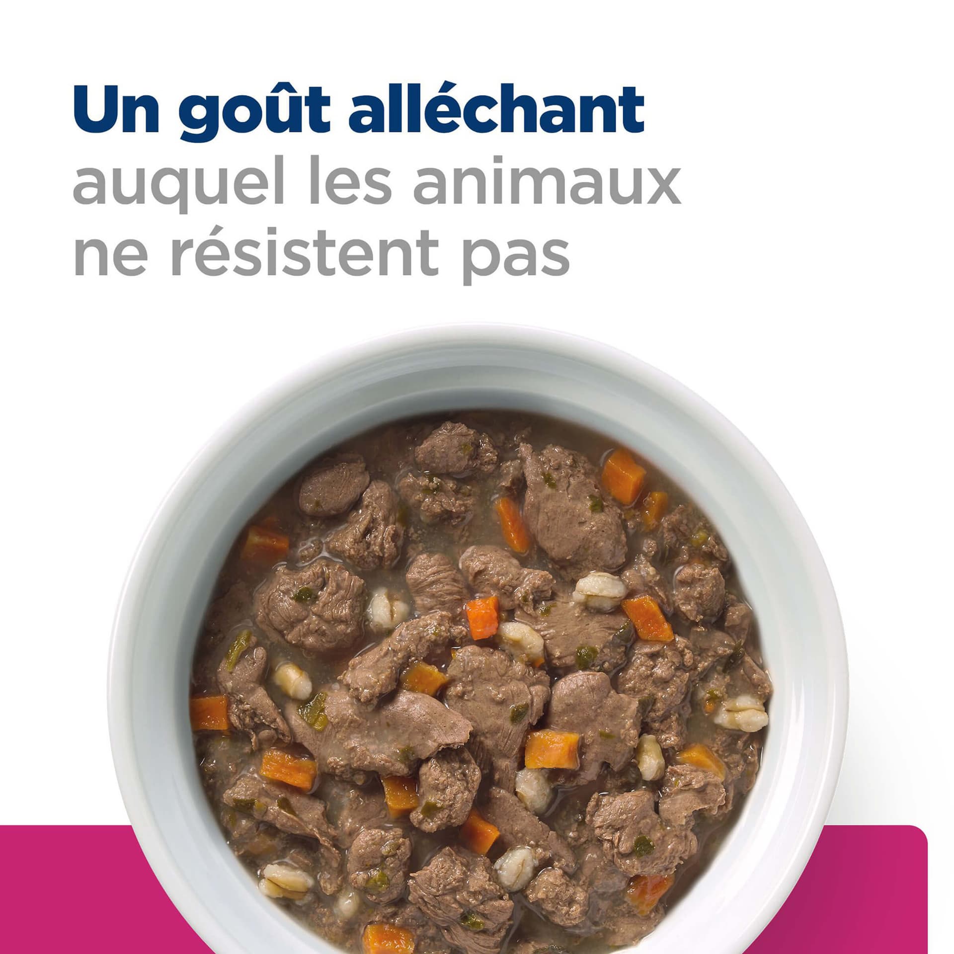 Katze Prescription Diet Gastrointestinal Biome Ragout mit Huhn & Gemüse