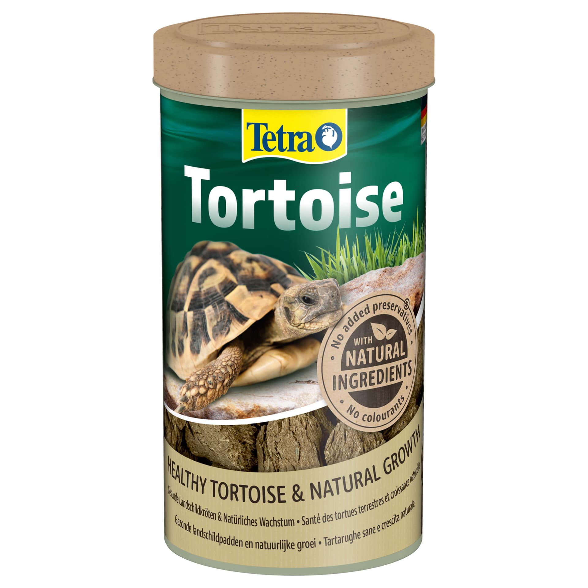 Fauna Tortoise