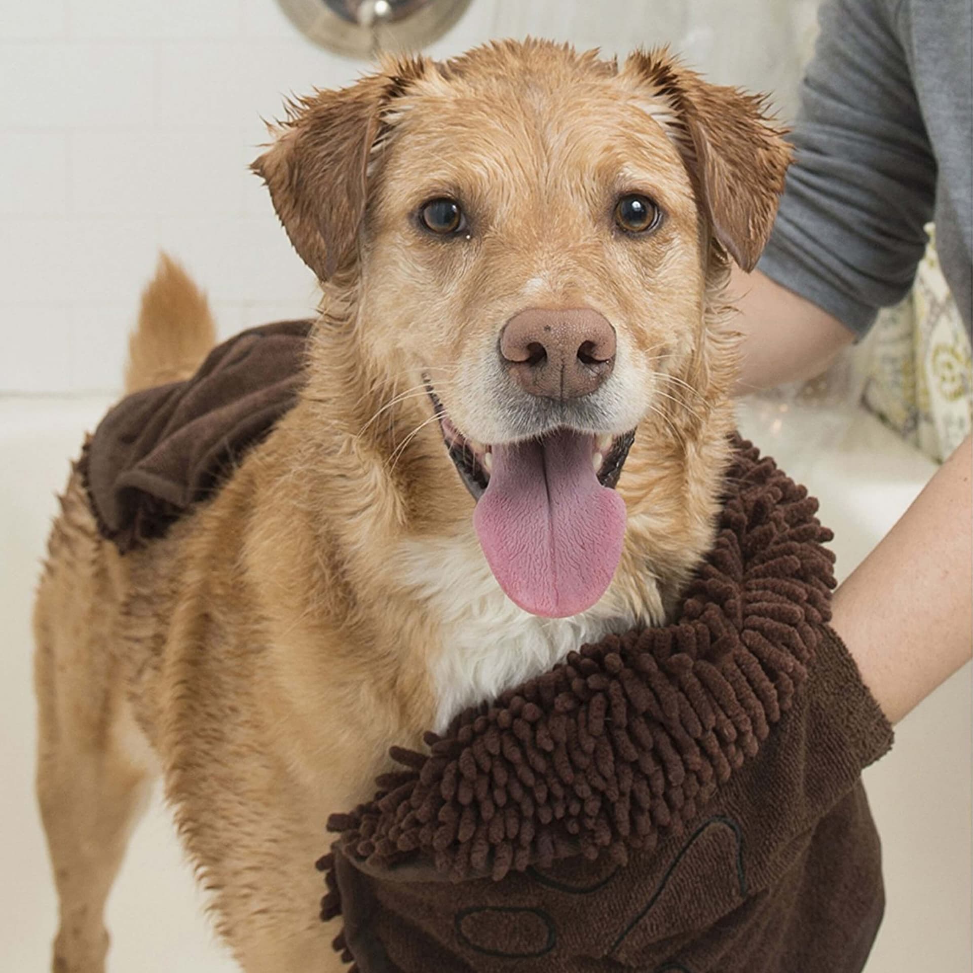 Dirty Dog Shammy