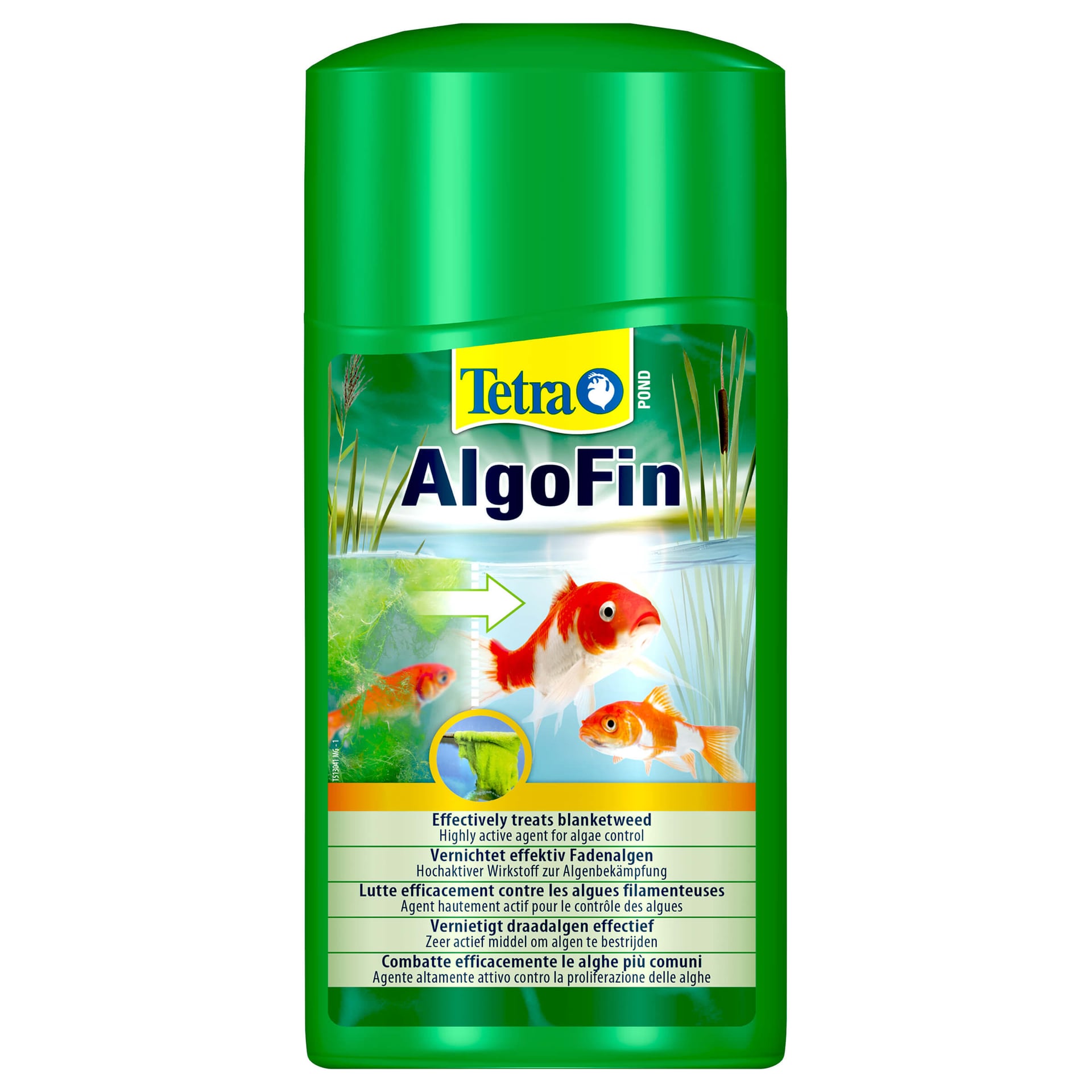 Pond AlgoFin