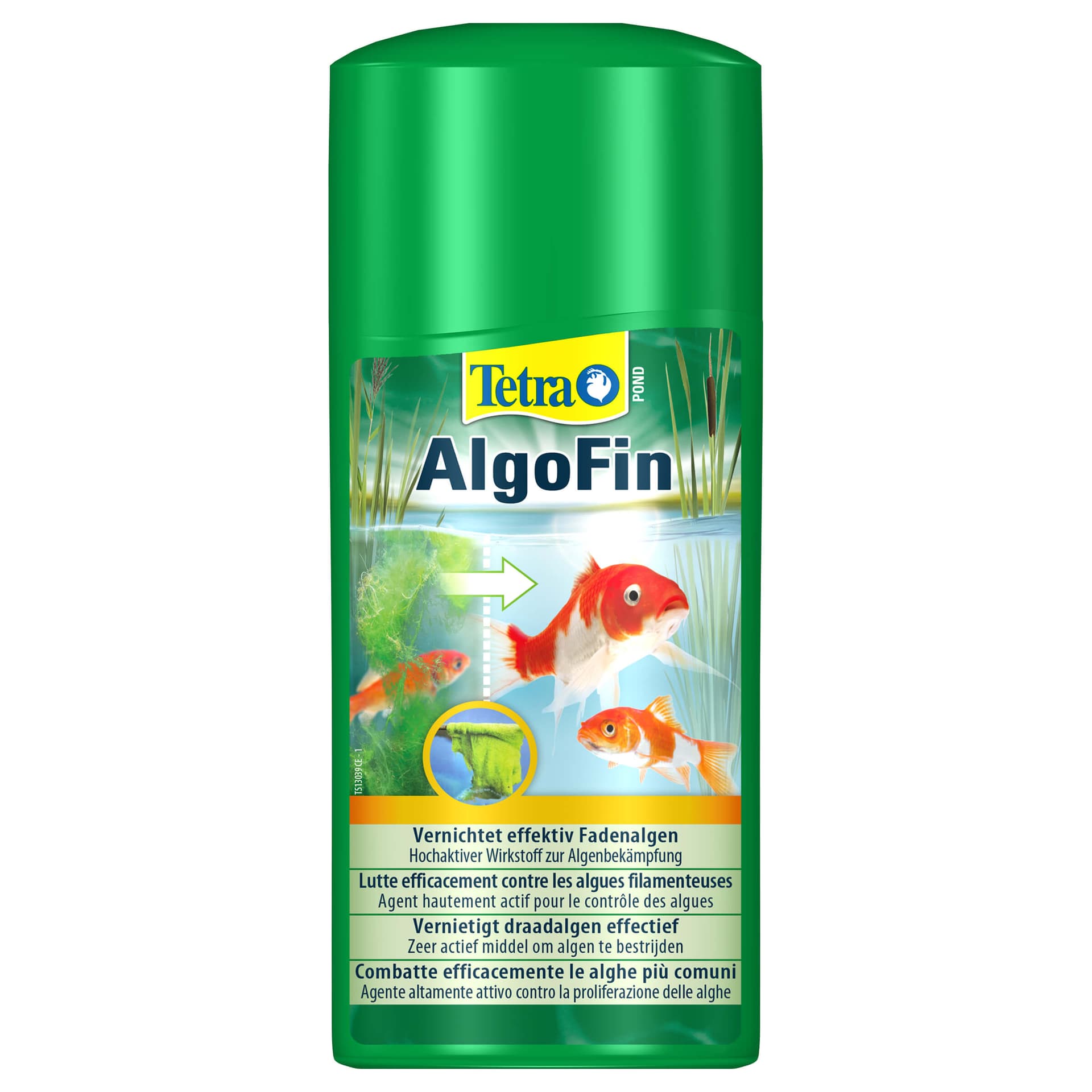 Pond AlgoFin