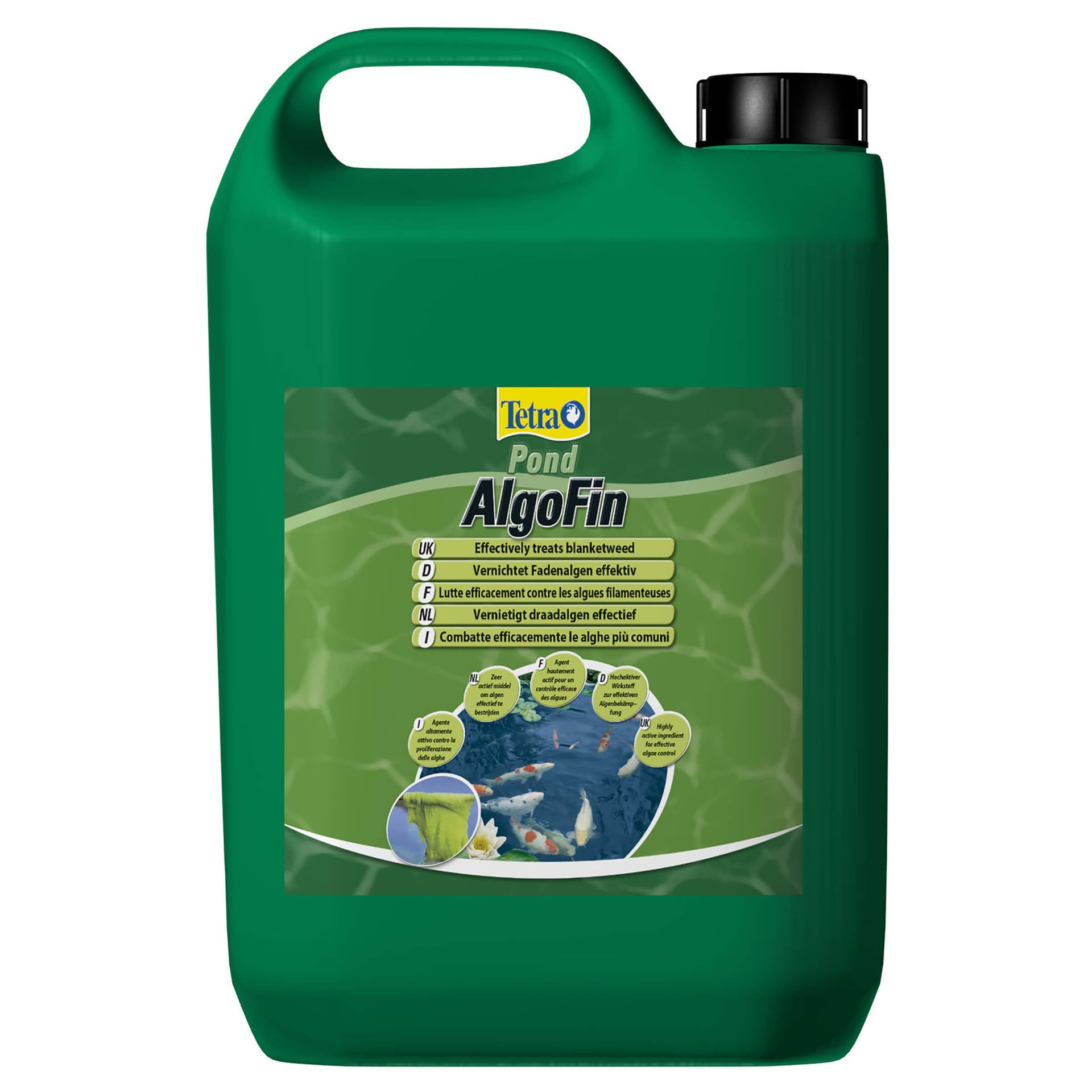 Pond AlgoFin