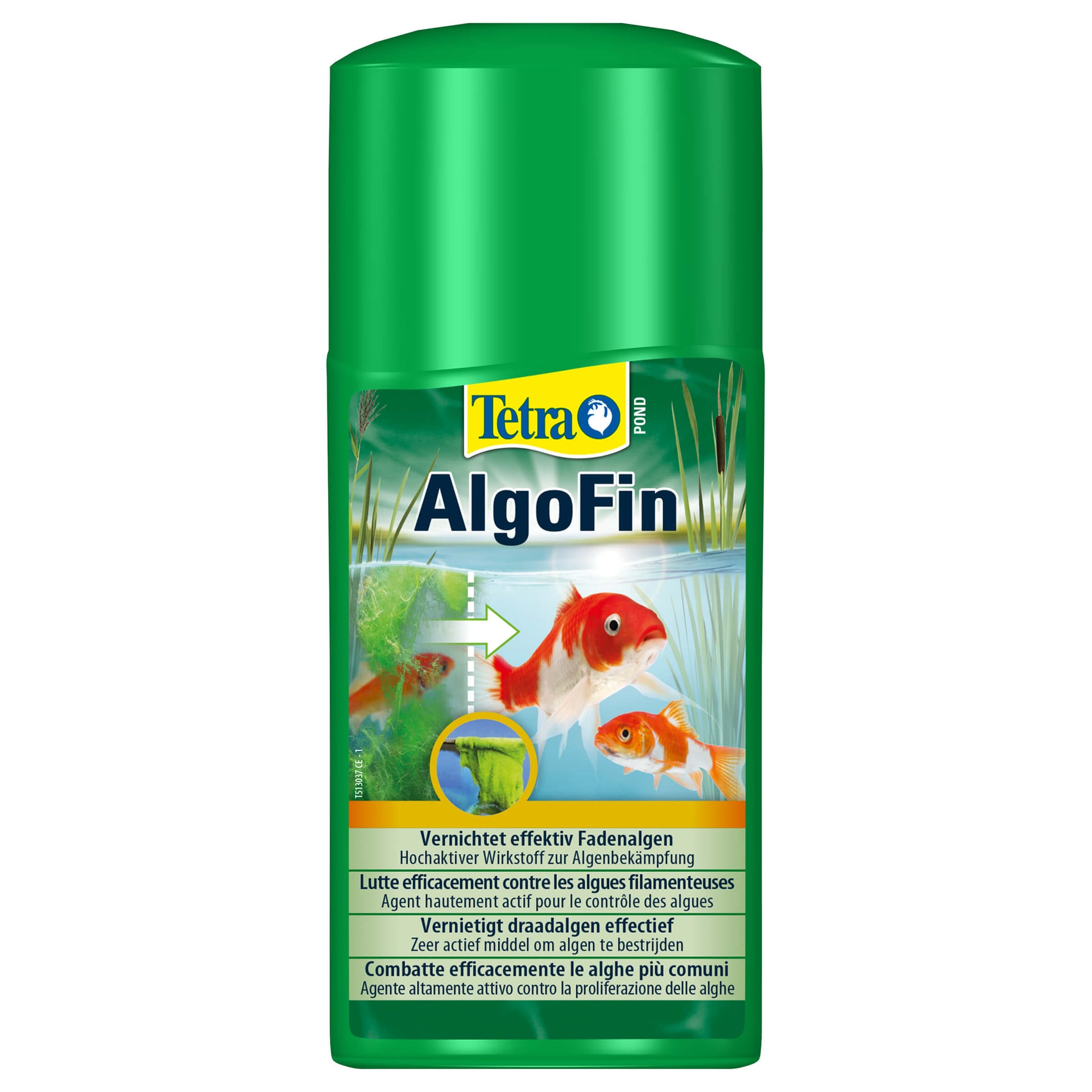 Pond AlgoFin