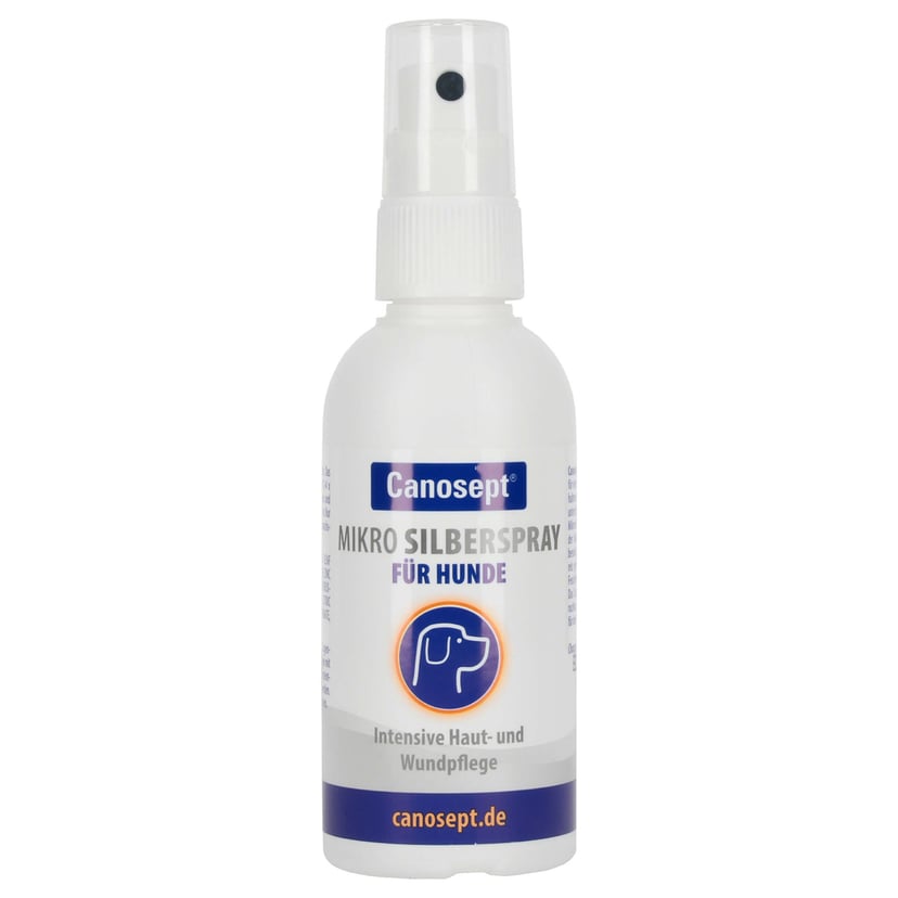 Mikro Silberspray
