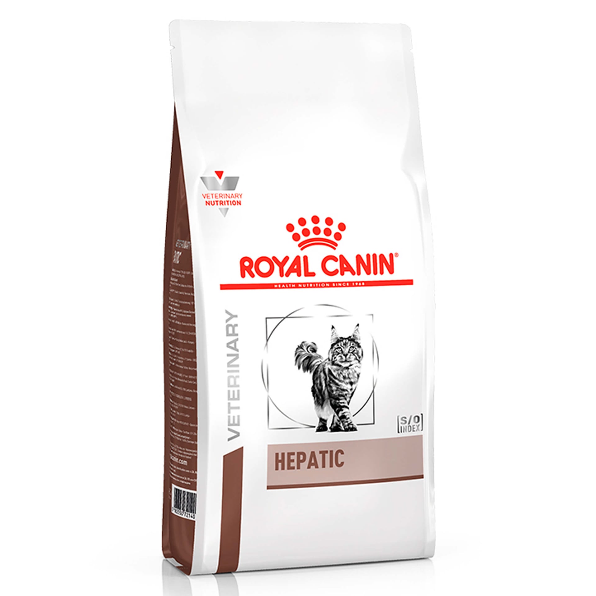 VET Katze Hepatic