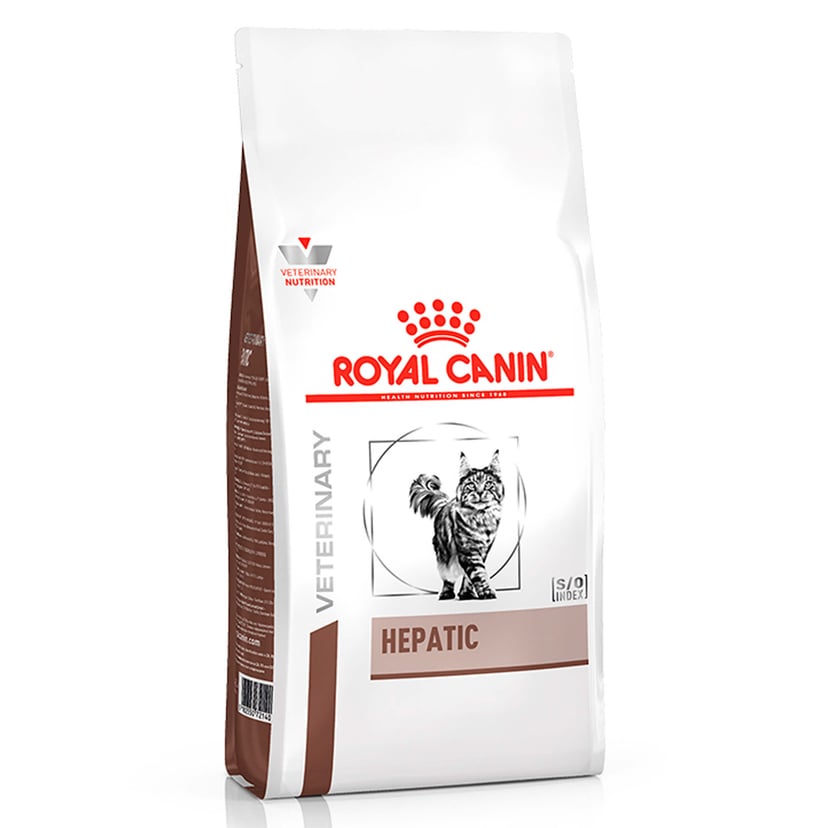 VET Katze Hepatic