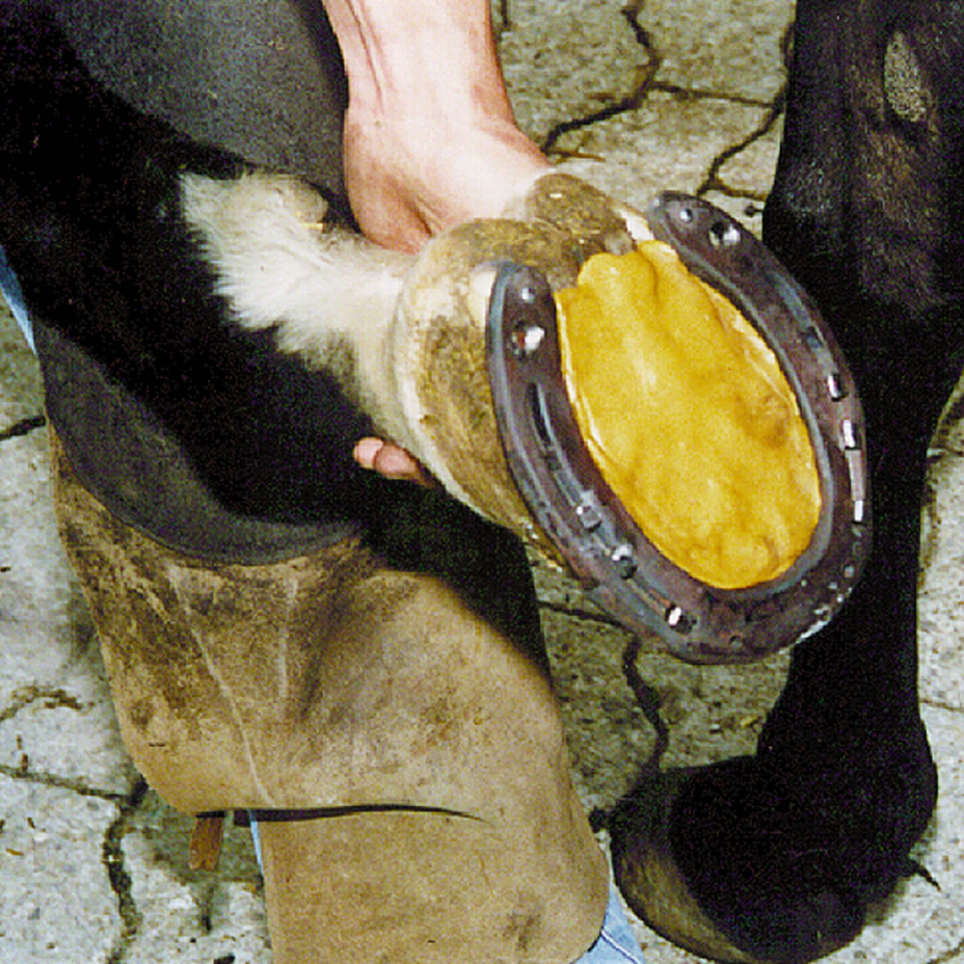 Huflederkitt ZR