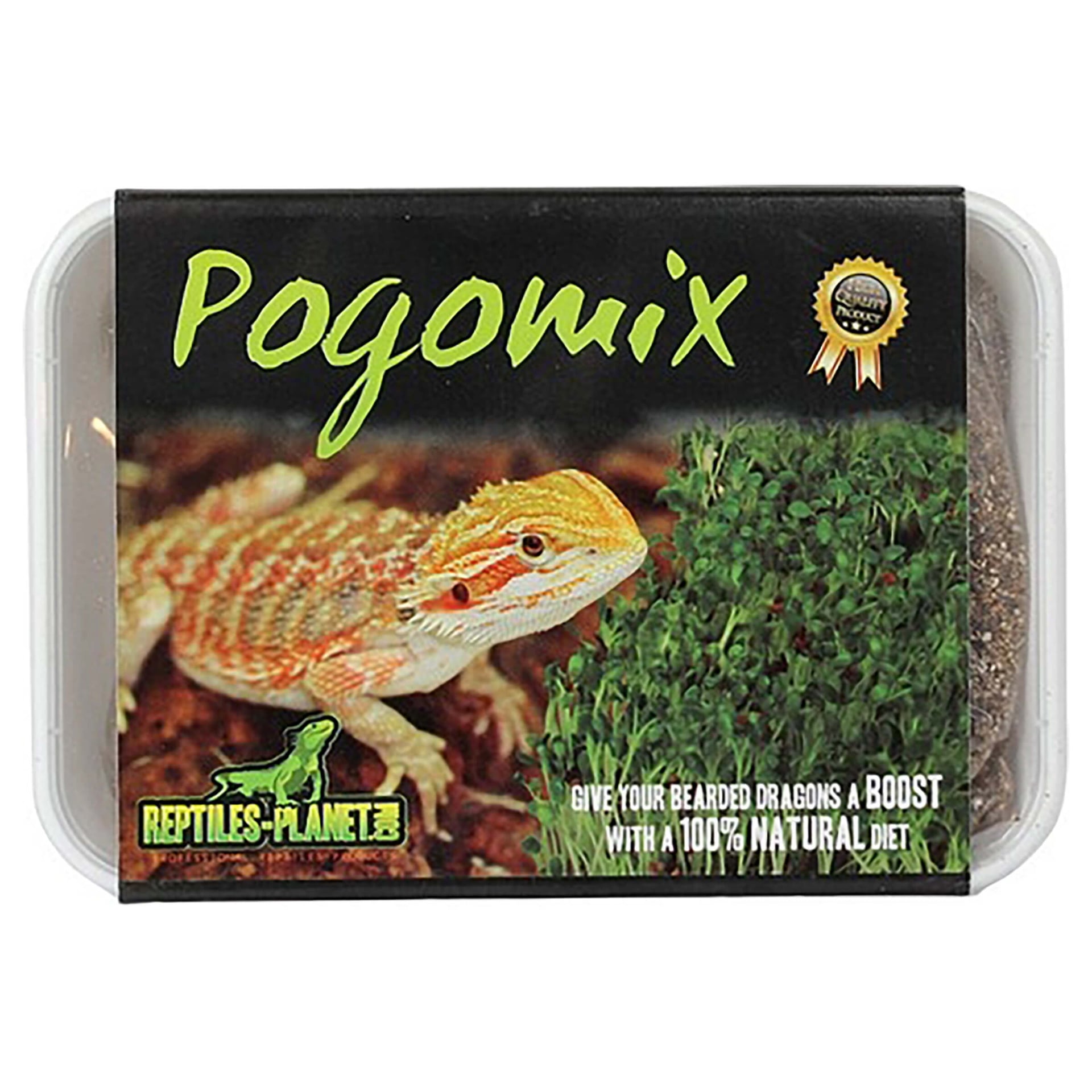 Pogomix-Bartagamen Kräuterschale