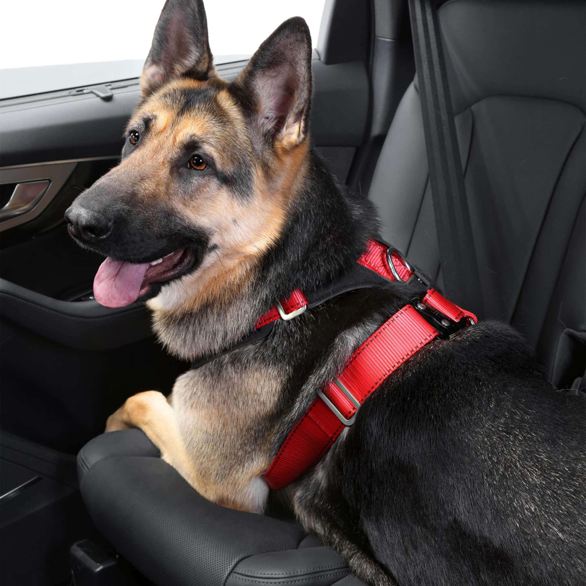 Comfort TÜV Autosicherheitsgurt