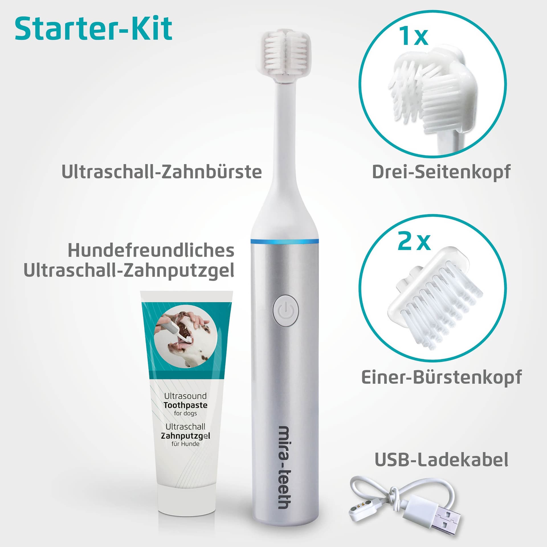 Ultraschall Zahnreinigung Starter-Set für Hunde