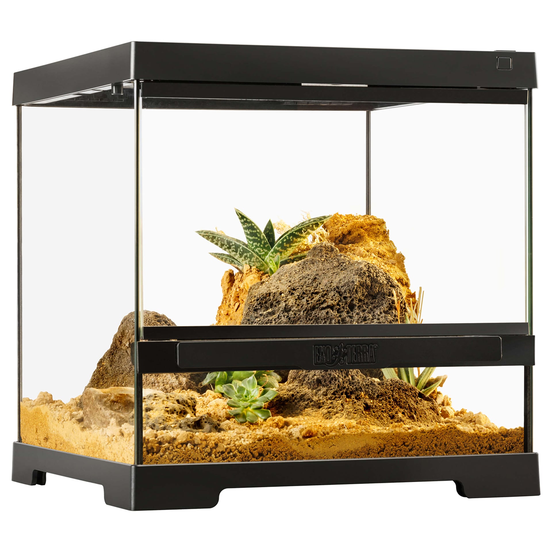 Pro Terrarium