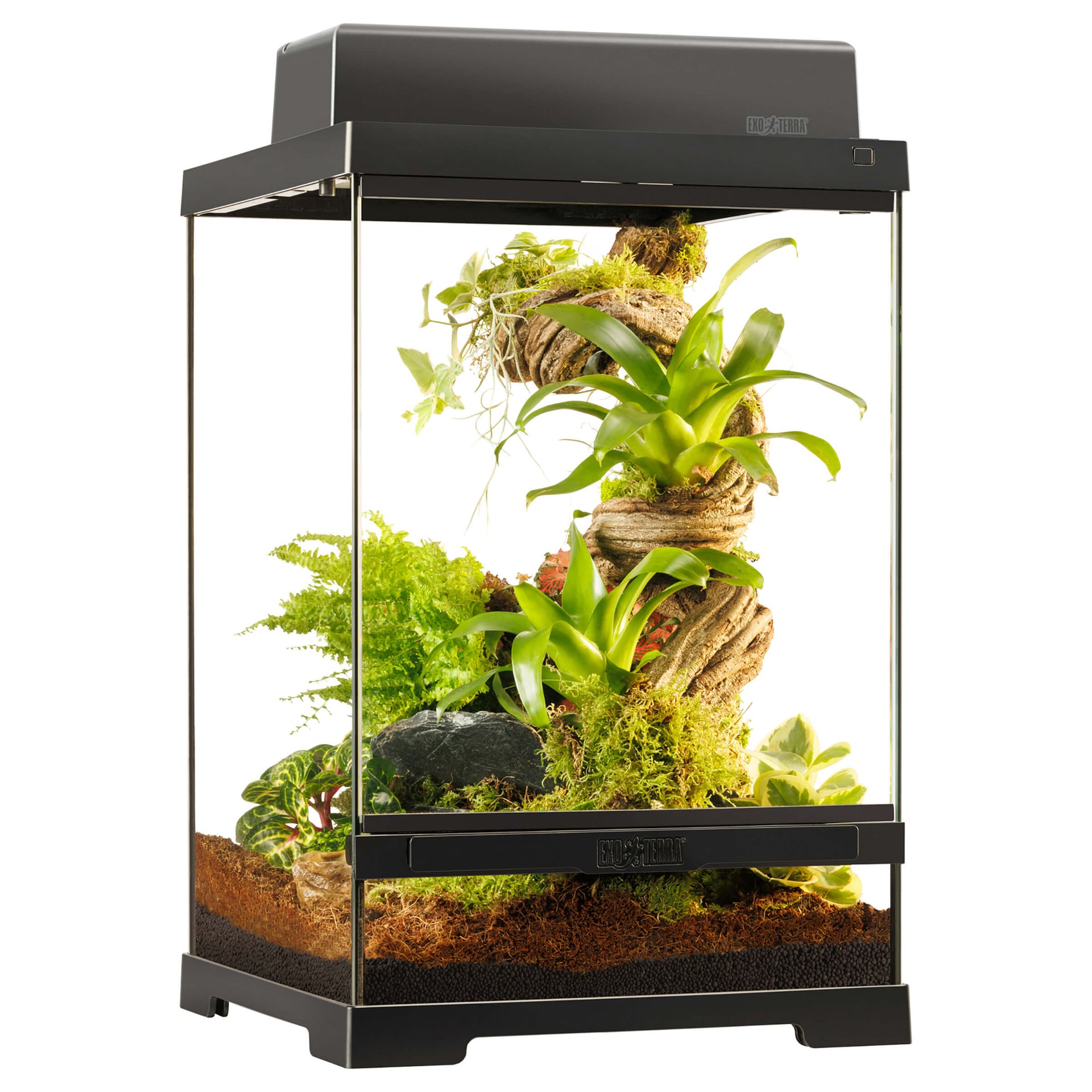 Pro Terrarium