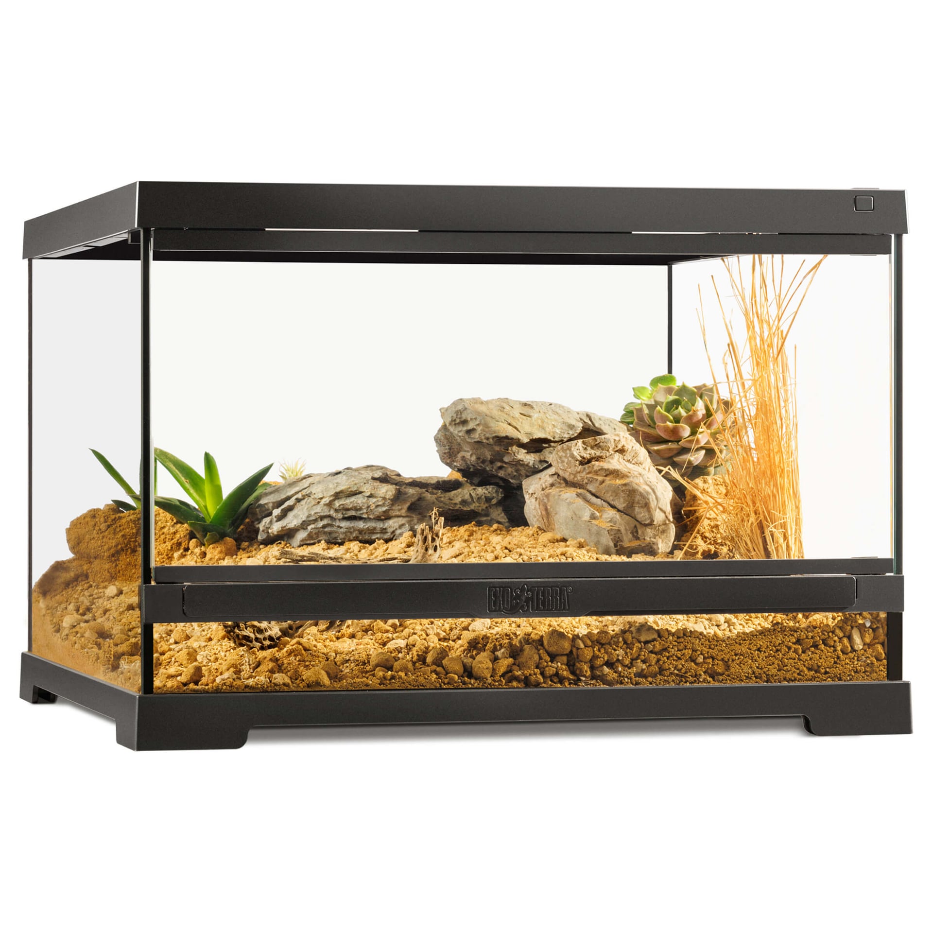 Pro Terrarium